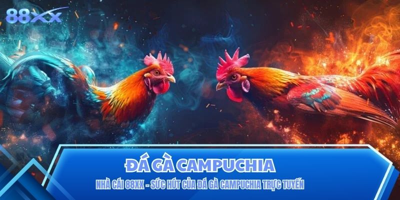 Nhà Cái 88XX - Sức Hút Của Đá Gà Campuchia Trực Tuyến